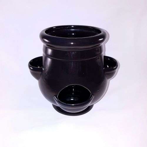 Strawberry Herb planter pot