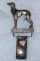 Show clip -  Italian Greyhound   Silver