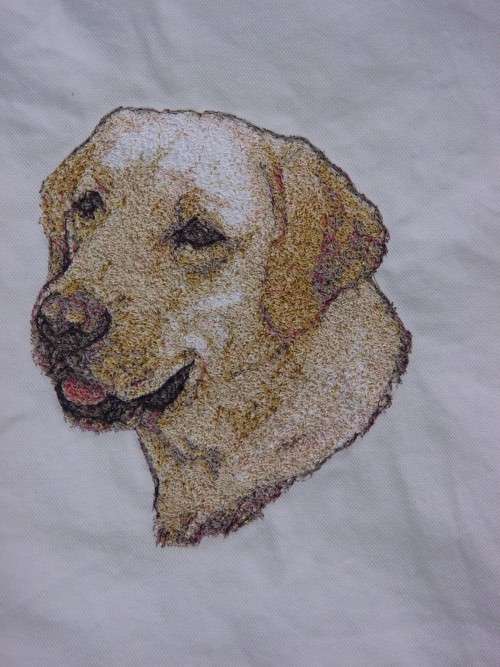 Cream Cushion Cover -Dog - Yellow Labrador