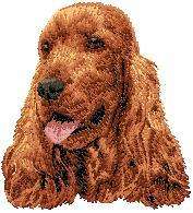 Cream guest Cocker Spanielr   Dog