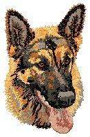 Cream  Guest Towel  GSD  German Shepherd Dog   Dog