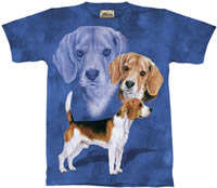 T-Shirt Beagle Dog XLarge