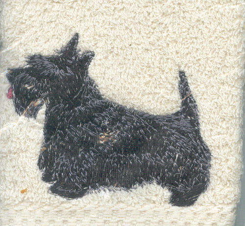 Dog EMBROIDERED cream  TOWEL Scottish Terrier(Scottie)