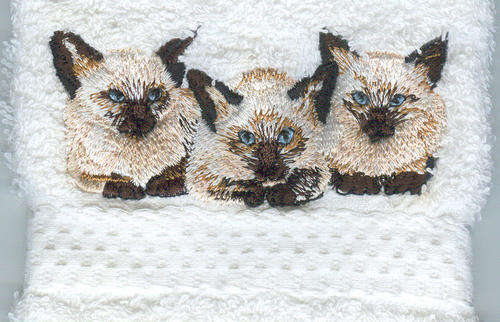 Cat EMBROIDERED  white TOWEL 3 Siamese kittens