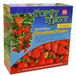 Topsy Turvy Strawberry Planter