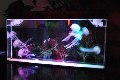 NEW!!! Jellyfish Aquarium LOOKS LIKE THE REAL THING - FREE EXPRESS SHIPPING!!!