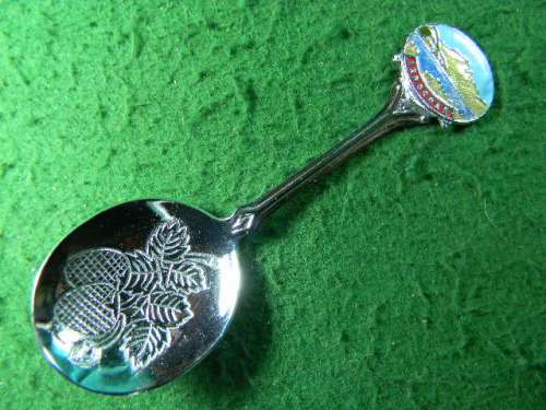 Arrocnar silver plated in good condition