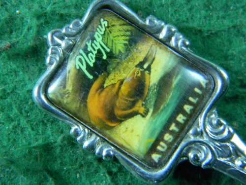 Australia Platypus spoon silver plated  in good condition as per pictures