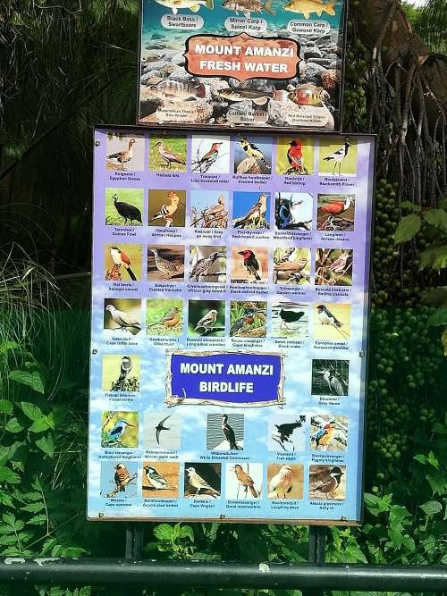 Mount Mount Amanzi self catering for 5 people 9/3--13/3/2020- Unit M 40 GUEST CERTIFICATE  R100.00