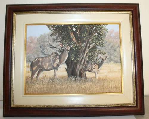 Oil on Board-Inyala Buck-Signed-Frame-59x48cm.