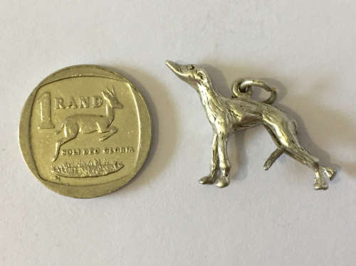 Silver Charm - Greyhound
