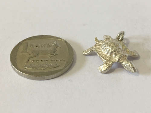 Silver Charm - Turtle