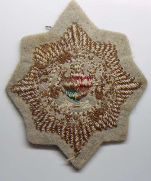 RARE   KOEVOET CAP BADGE !!!!