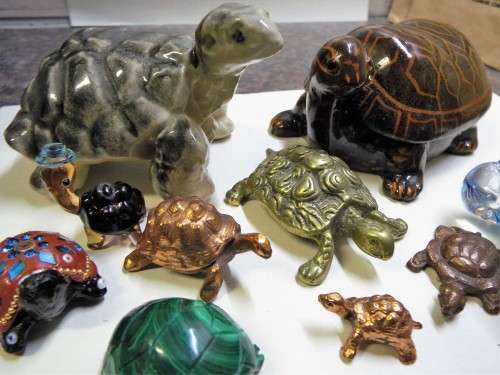 WOW  COLLECTION OF 10 tortoises as 1 lot