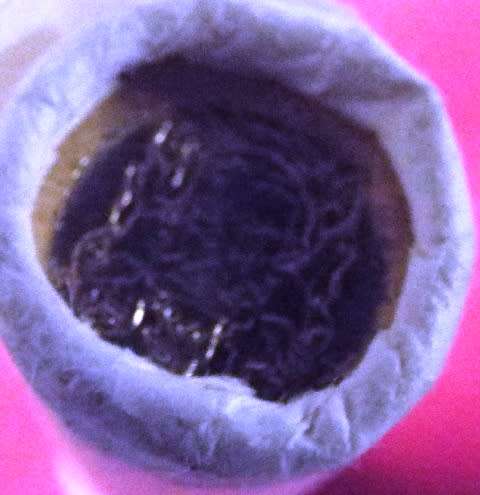 Spectacular 1990 RSA FULL ROLL OF UNC 10C