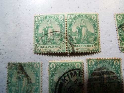20 x 1893 Hope standing ,cape of good hope stamps as  1 lot     @R1 start