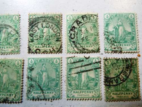 20 x 1893 Hope standing ,cape of good hope stamps as  1 lot     @R1 start