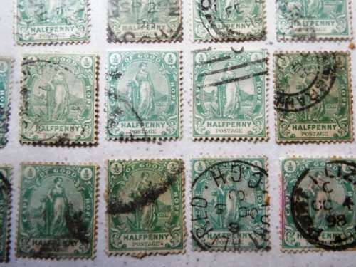 20 x 1893 Hope standing ,cape of good hope stamps as  1 lot     @R1 start