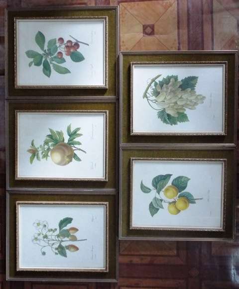 WOW 5 X Fruit and Flower Prints by Pierre-Joseph Redouté FRAMED