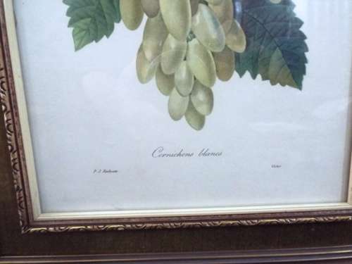 WOW 5 X Fruit and Flower Prints by Pierre-Joseph Redouté FRAMED