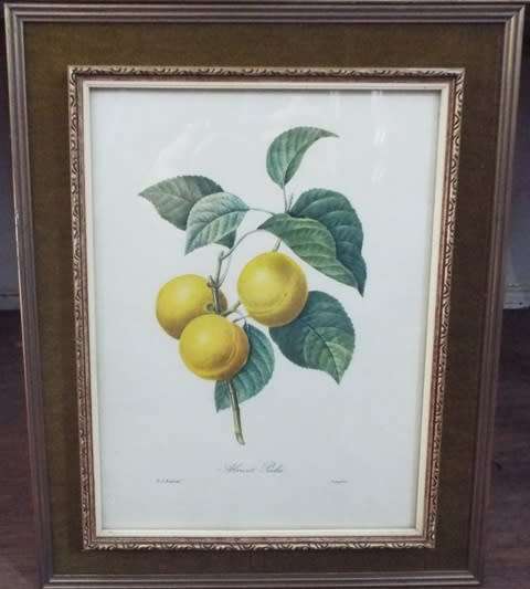 WOW 5 X Fruit and Flower Prints by Pierre-Joseph Redouté FRAMED
