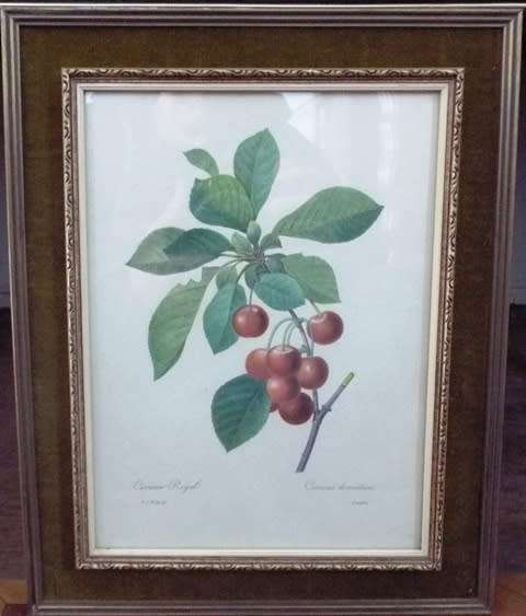 WOW 5 X Fruit and Flower Prints by Pierre-Joseph Redouté FRAMED
