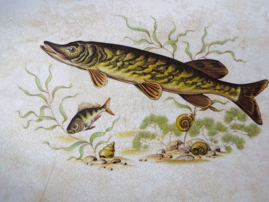 Antique Crown Devon Shaped Serving Plate. massive 50 cm long