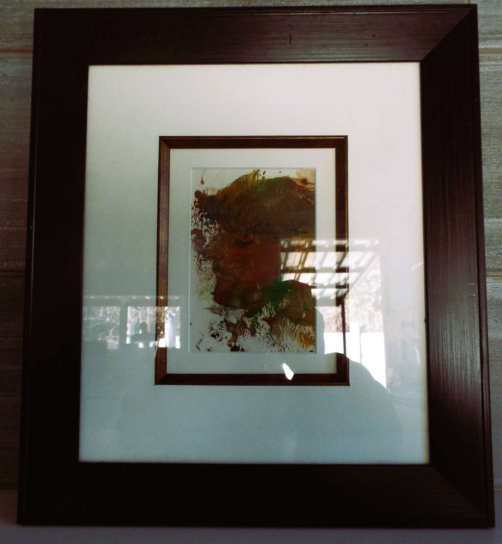 STUNNING!!!  framed art