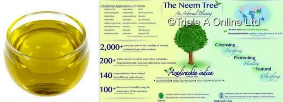 100ml NEEM OIL--100% NEEM OIL STRAIGHT FROM THE SOURCE--Free postage in SA on orders of 10 or more