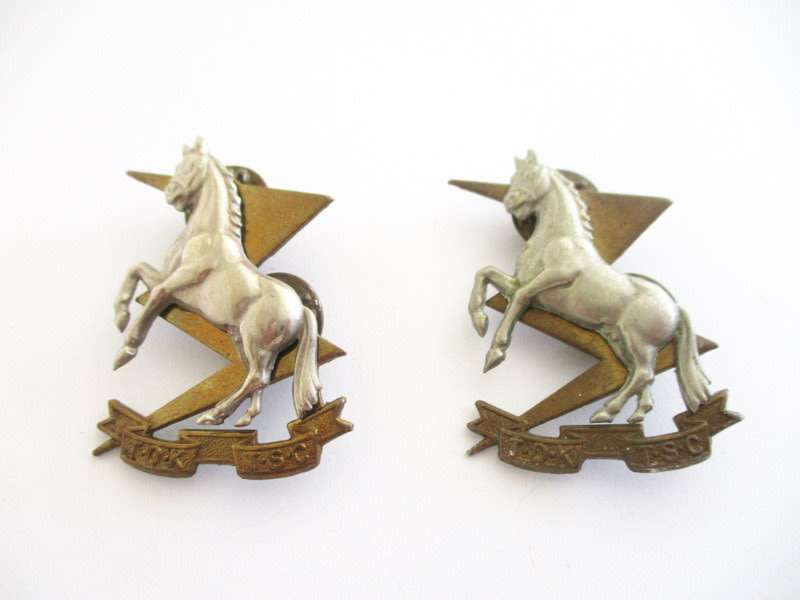 Two TSC / TDK Technical Service Corps Cap Badge