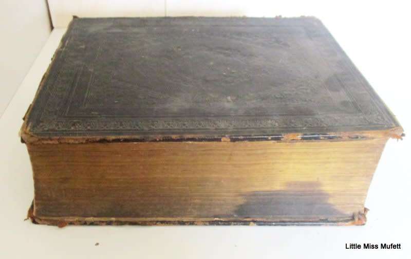 A LARGE FAMILY BIBLE DATED 1856 WITH FAMILY HISTORY