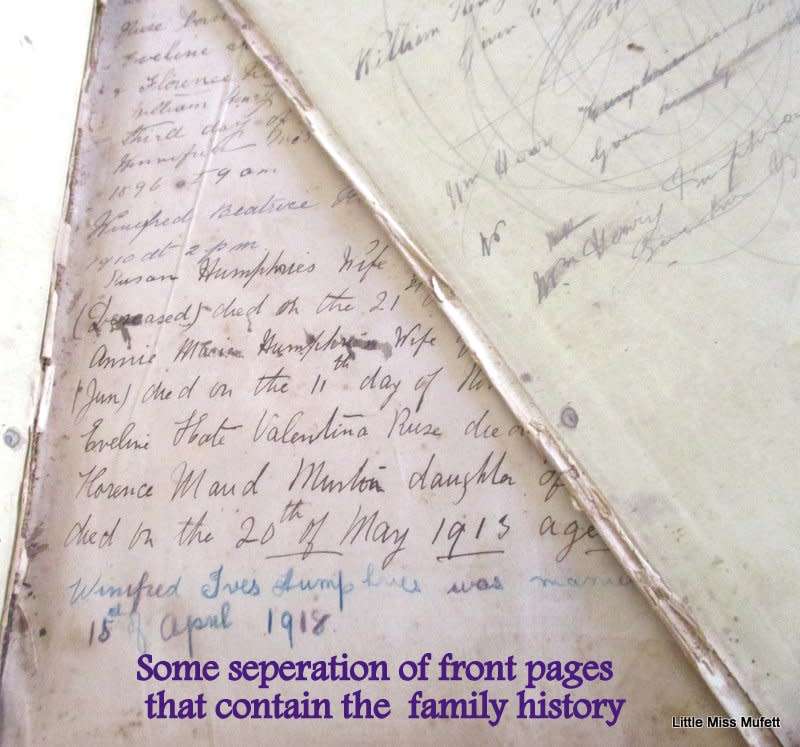 A LARGE FAMILY BIBLE DATED 1856 WITH FAMILY HISTORY