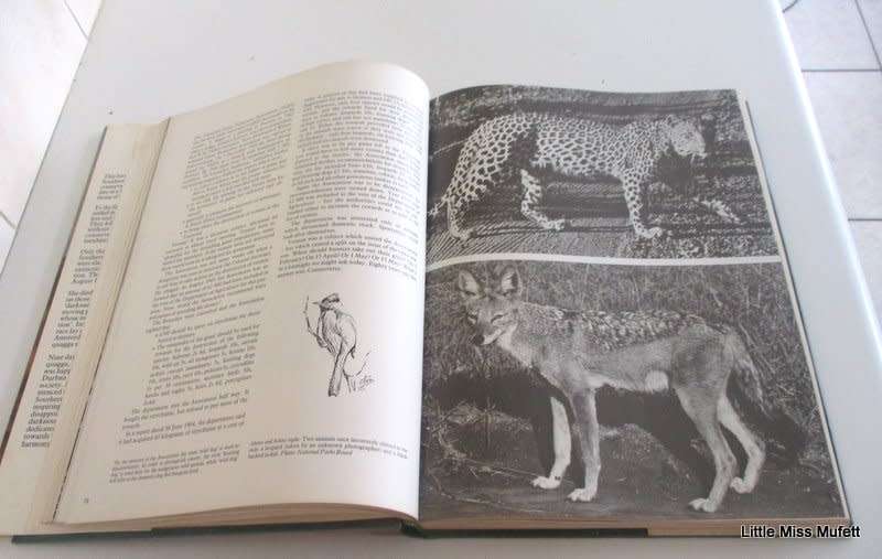 THE CONSERVATIONISTS AND THE KILLERS BY JOHN PRINGLE--SIGNED