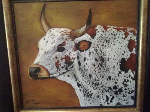 Original oil on board nguni, by p telane