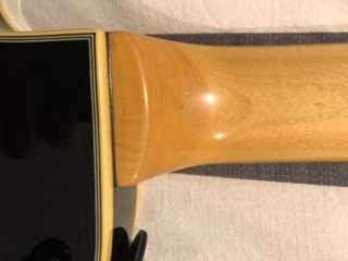 Epiphone Zakk Wylde Les Paul Custom Electric Guitar