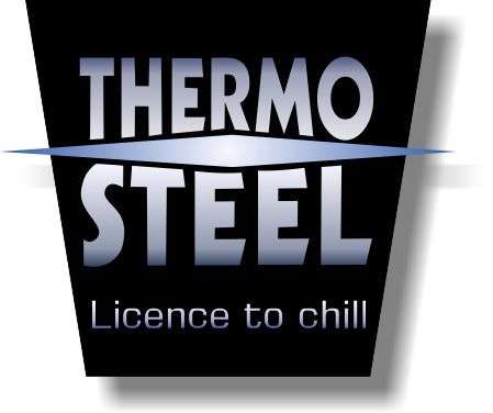 ThermoSteel 590ml Thermo Mug