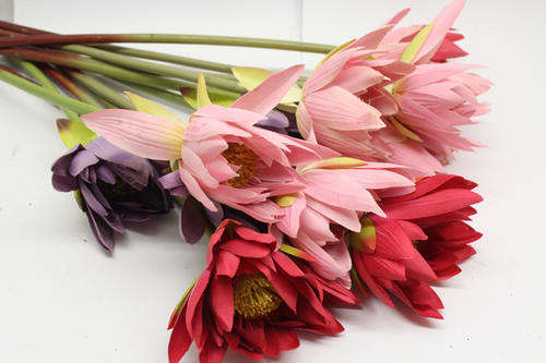 Long Stemmed Water Lilly Silk Flower Lot