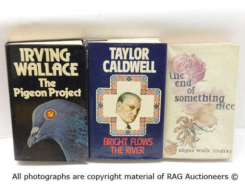 Hardcover Book Job Lot ( Novels )