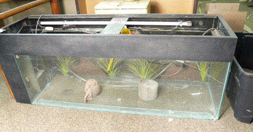 Glass Fish Tank