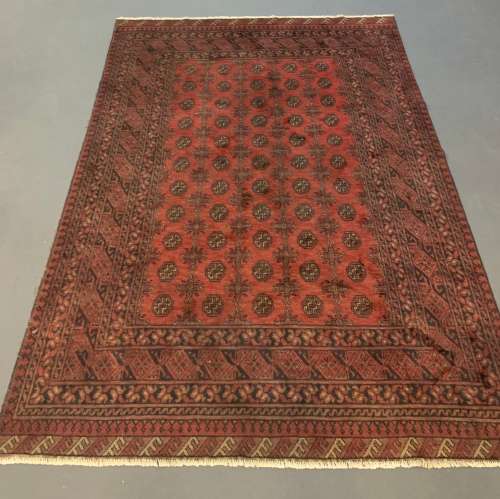 Hand Woven Fine Afgan  Rug