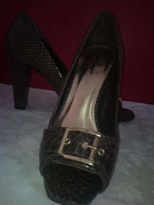 Brown Rouge Snake Skin Shoes