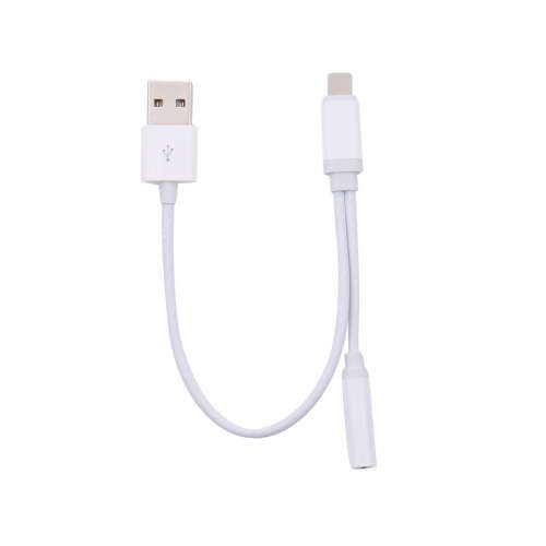 2 in 1 Lightning to USB and Aux Cable | iPhone 7