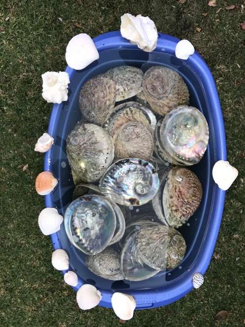 Smudge Kit and Space Clearer 500g