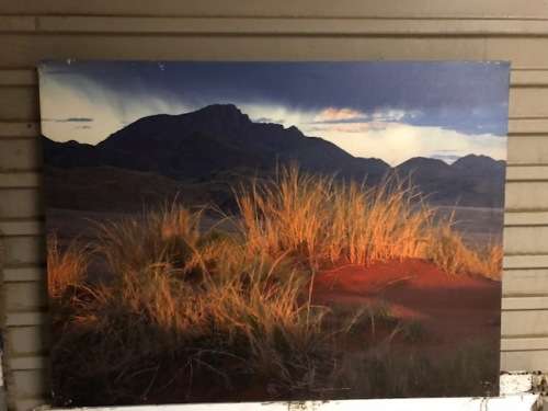 Large acrylic still life on canvas:Unsigned