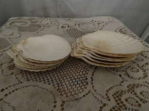 2 x sets of 6 shell seafood dishes: Nice item!!