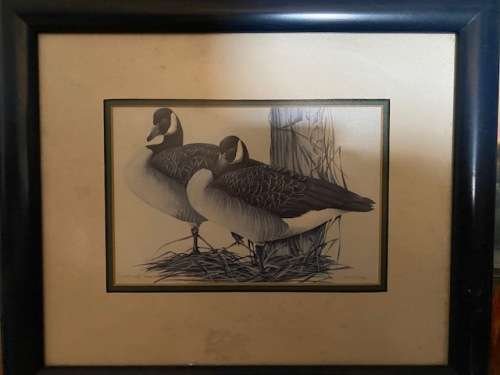 2x Well framed items to adorn the walls;Bid per item