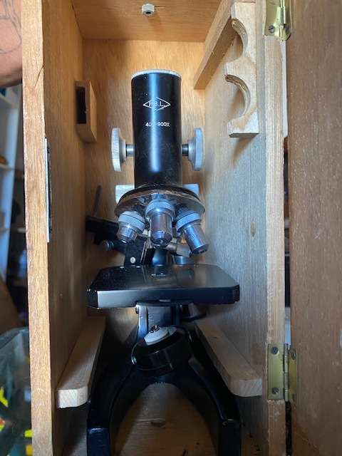 PBL 40X-900X Vintage Microscope complete in wooden box Same model 249 US ON Ebay STUNNING