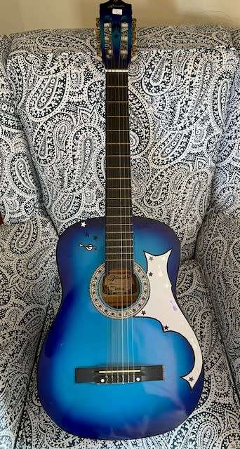 Ritmuller Acoustic Guitar: Never used: Bought at close down auction