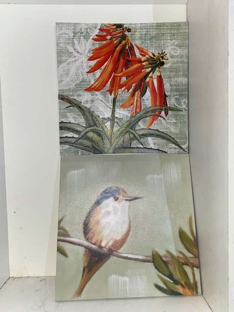 2 Gorgeous paintings blocked on canvas