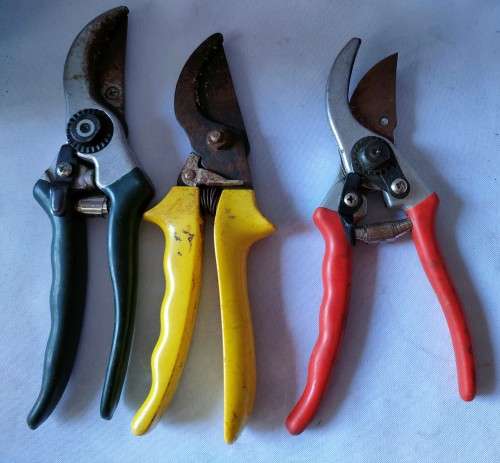 Pruning Shears (3) in good condition PLUS 2 X 5 L Drinks dispensers